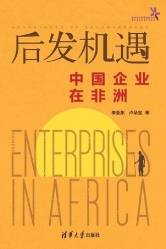 后发机遇：中国企业在非洲