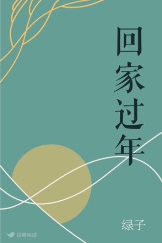 回家过年