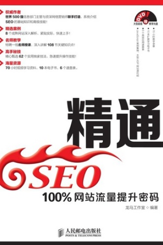 精通SEO：100%网站流量提升密码