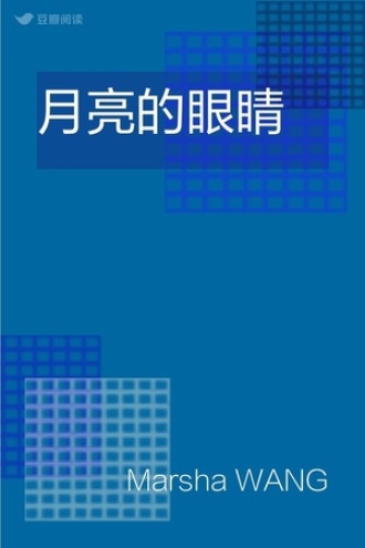 月亮的眼睛