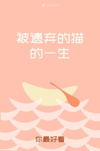 被遗弃的猫的一生