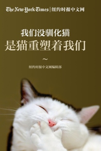 我们没驯化猫，是猫重塑着我们——《纽约时报》猫合集（纽约时报特辑）