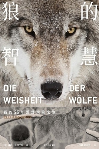 狼的智慧：我的25年荒野观狼之旅