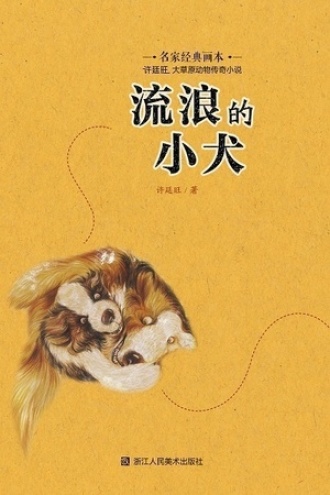 流浪的小犬