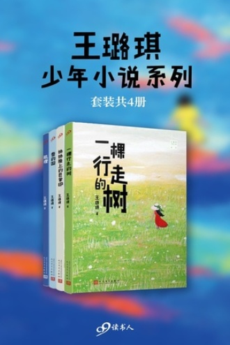 王璐琪少年小说系列（套装共4册）