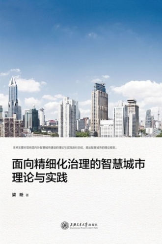 面向精细化治理的智慧城市理论与实践