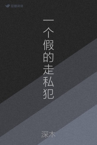 一个假的走私犯