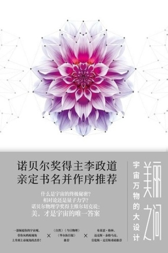 美丽之问：宇宙万物的大设计图书封面