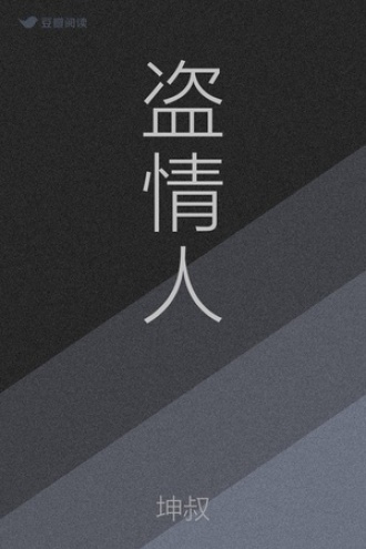 盗情人