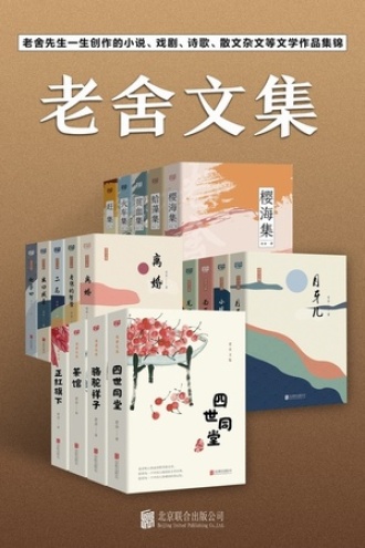 有间文库：老舍文集（套装19册）