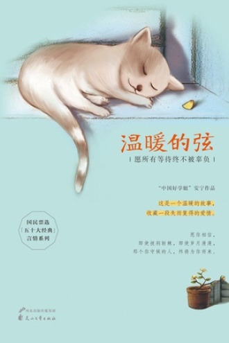 温暖的弦：愿所有等待终不被辜负（全二册）