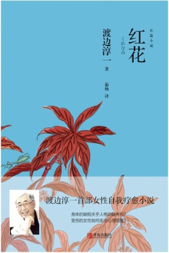 红花书籍封面