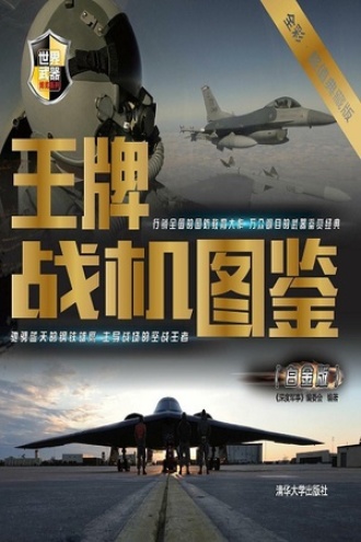 王牌战机图鉴(白金版)