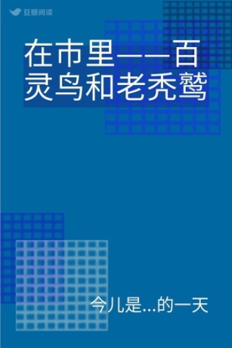 在市里——百灵鸟和老秃鹫