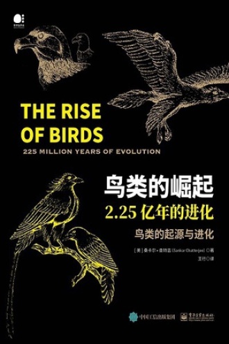 鸟类的崛起：2.25亿年的进化书籍封面