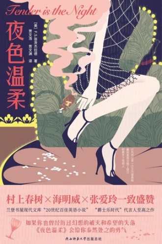 夜色温柔图书封面