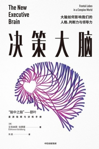 决策大脑图书封面