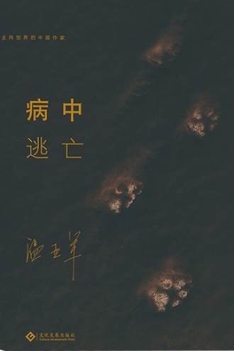 病中逃亡