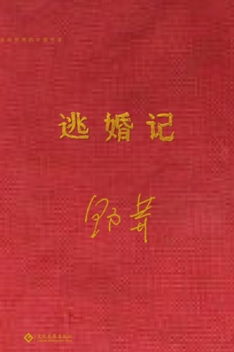 逃婚记
