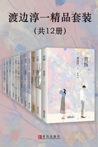 渡边淳一精品套装（套装全12册）