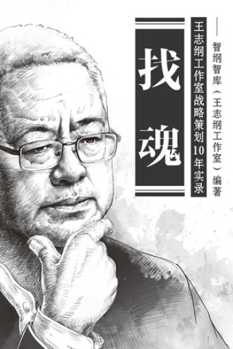 找魂：王志纲工作室战略策划10年实录图书封面
