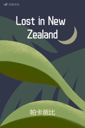 Lost in New Zealand