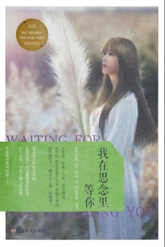 我在思念里等你