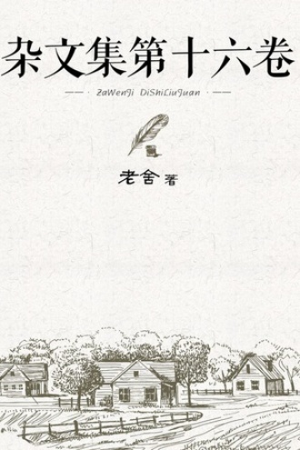 杂文集第十六卷