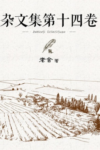 杂文集第十四卷