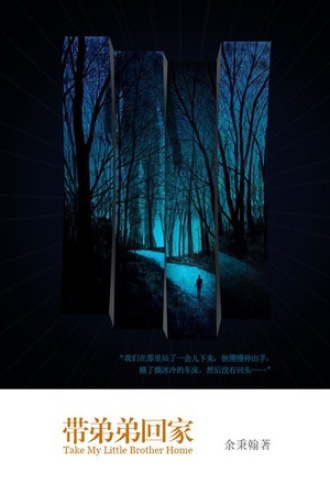 带弟弟回家
