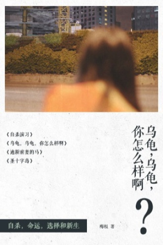 乌龟，乌龟，你怎么样啊