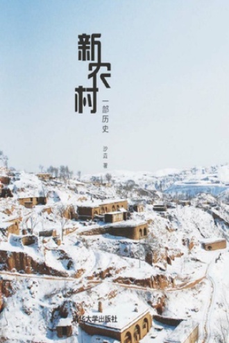 新农村：一部历史