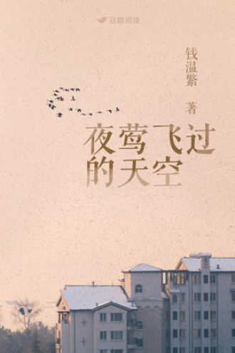 夜莺飞过的天空