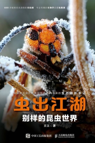虫出江湖：别样的昆虫世界