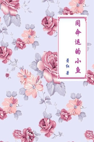 同命运的小鱼