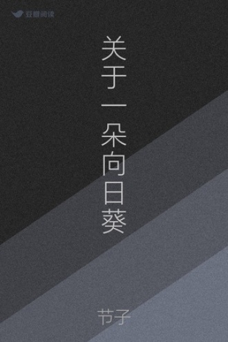 关于一朵向日葵