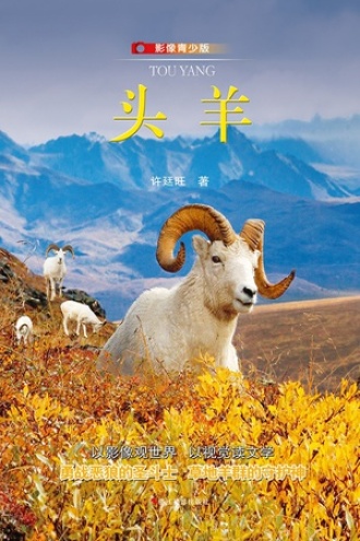 头羊（影像青少版）