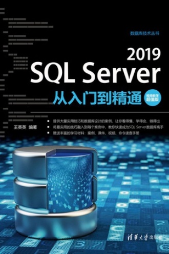 SQL Server 2019从入门到精通（视频教学超值版）