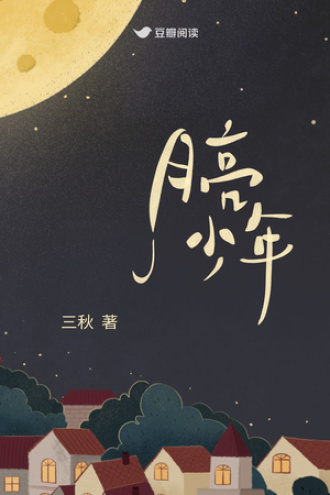 月亮少年