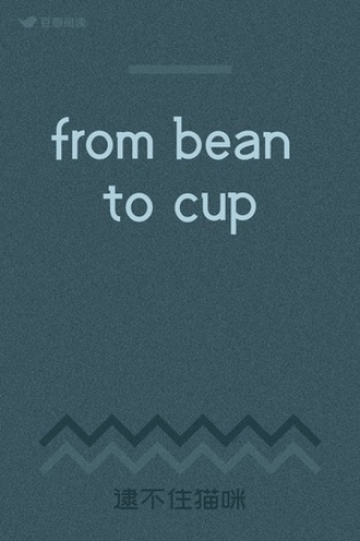 from bean to cup
