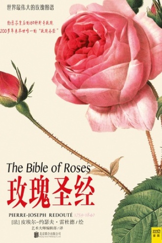 玫瑰圣经