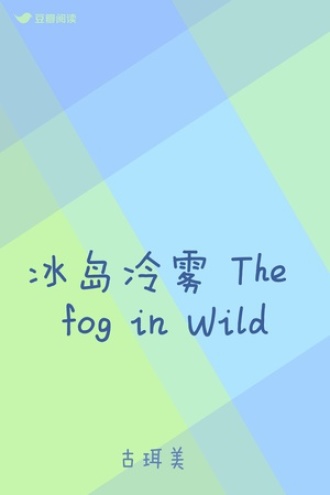 冰岛冷雾 The fog in Wild