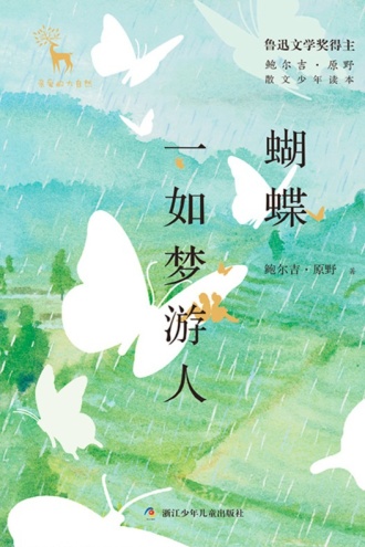 蝴蝶一如梦游人