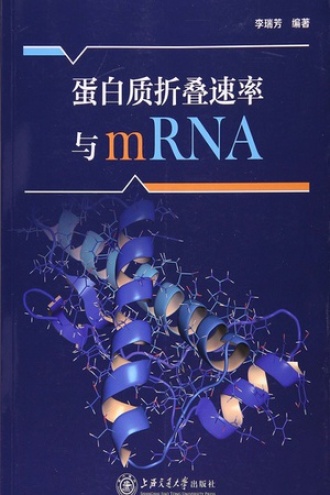 蛋白质折叠速率与mRNA