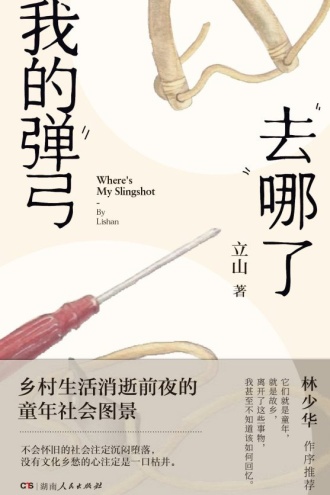 我的弹弓去哪儿了