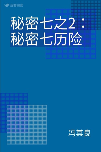 秘密七之2:秘密七历险