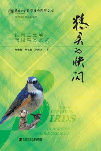 精灵的快闪:闽南金三角常见鸟类概览