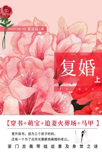 复婚（上）