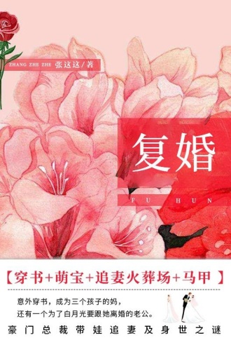 复婚（套装全两册）