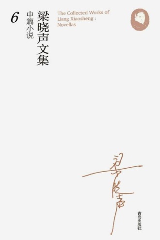 梁晓声文集·中篇小说6